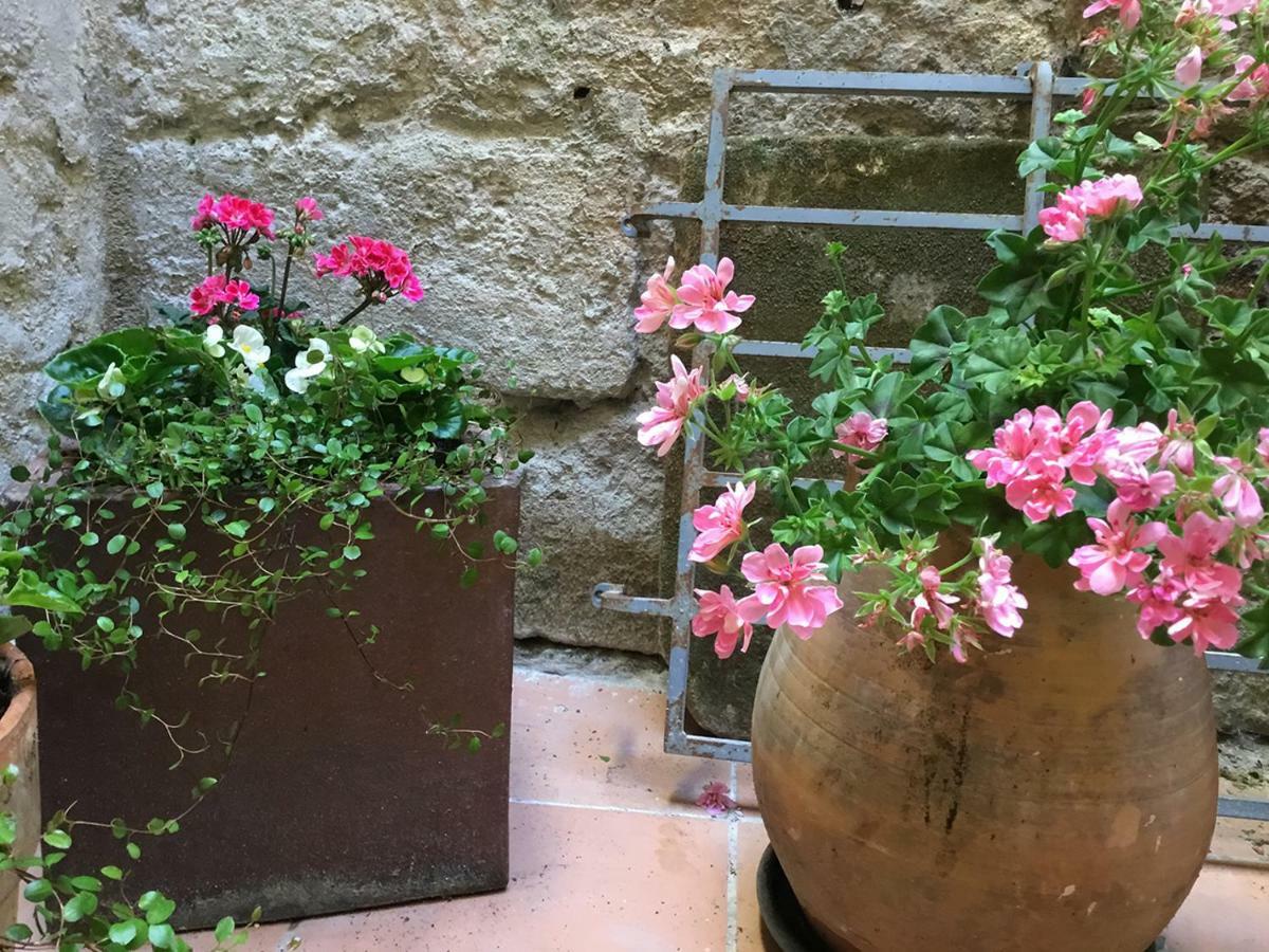 Appartement Arles Centre Historique Екстериор снимка
